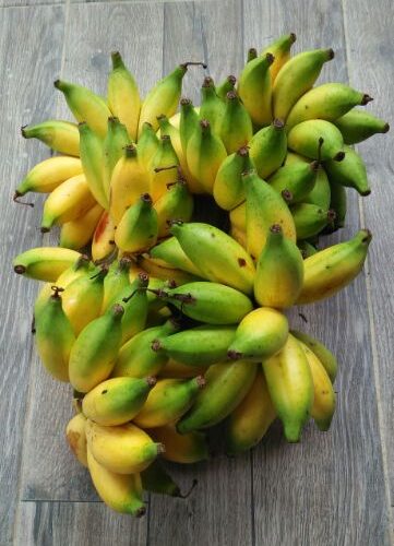 Pisang Lemak Manis Terengganu - Image 4